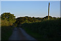 Mid Devon : Country Lane in EX16 8LR