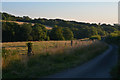 Mid Devon : Farm Track in EX16 8LR