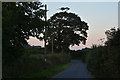 Mid Devon : Country Lane in EX16 8LH