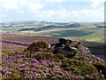 Rock outcrop on The Roaches in ST13 8UQ
