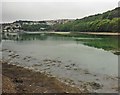 East Looe River estuary in PL13 1FD