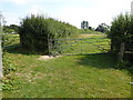 Gate on the footpath going south to the windmill in RH13 8PL