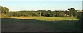 Field near Spain Farm in EX5 2BL