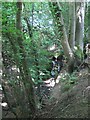 Stream in woodland south of Five Oak Green Road in TN11 0PW