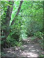 Path in woodland south of Five Oak Green Road in TN11 0PW