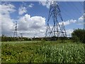Pylons on the edge of Rainham Marshes in RM15 4YF