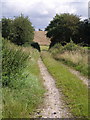 Footpath near Chillington in TA19 0PU