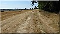 Stubble field in Old Park in WR8 9EE