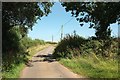 Lane north of Witheridge in EX16 8QB