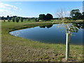 New lake and Knipton Pasture in Belvoir