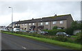 Houses on Harald Drive, Thurso East in KW14 8DG