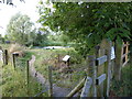 Pond between Steeple Langford and Hanging Langford in SP3 4NN