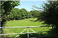 Field by the Little Silver Stream in EX36 4NP