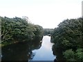 The River Don from Aldwarke Lane Road Bridge in S65 3LX
