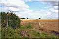 Footpath to Boyton End in Wixoe