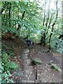Steep Stepped Path near The Wizard's Well in SK9 7JA