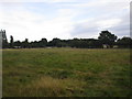 Grass field off Chainbridge Lane in DN22 8RX