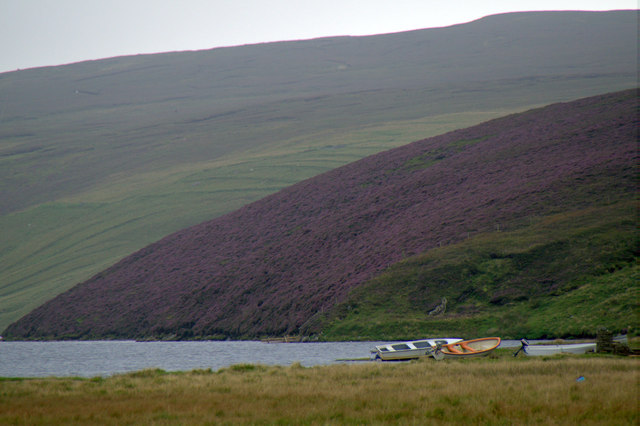 Boats and heather beside the Loch of Cliff at Burrafirth in ZE2 9EQ