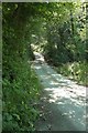 Lane at Ashwater Bridge in EX36 4RQ