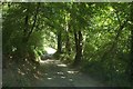 Bridleway to Rose Ash in EX36 4RQ