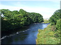 River Thurso, Halkirk in KW12 6YH