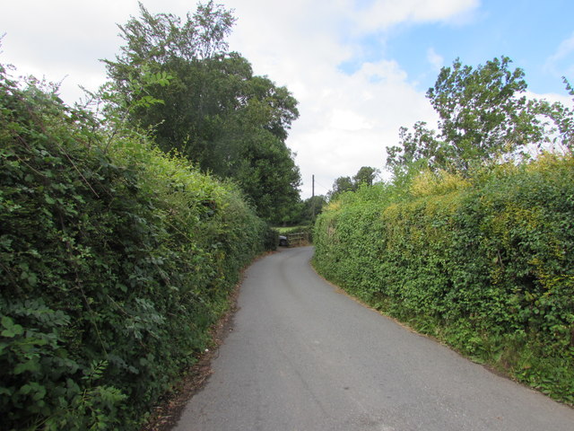 Hedged-lined Manson Lane, Monmouth in NP25 5QZ