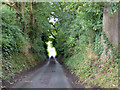 Lane from Little Cheverell to Great Cheverell in SN10 5TJ