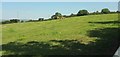 Field near Pearchay Farm in EX36 4RB