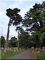 London Road Cemetery (II) in SP1 1RX