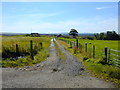 Farm track, Myrelandhorn in KW1 4TR