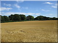 Stubble field, Riseholme in LN2 2LD