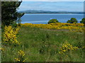 Kinneil Nature Reserve and the Firth of Forth in EH51 0BS