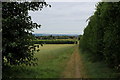Public Footpath heading North to East Malling in ME19 6AR