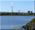 Lagoon near the Grangemouth Chemical Works in EH51 0PY