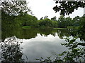 Woodlands Lane fishery in WV10 7DR