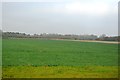 Farmland north of Little Shelford in CB22 5HJ