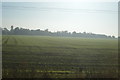 Cambridgeshire farmland in CB22 6SB