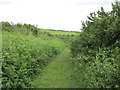 Footpath to West Bexington in DT2 9DQ