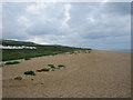 Chesil Beach, West Bexington in DT2 9DG