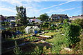 Allotments on Harborough Hill Road, Barnsley in S75 1BQ