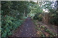 Penistone Rail Trail near the Fleets, Barnsley in S75 1BQ