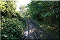 Penistone Rail Trail towards Dodworth in S75 3RR