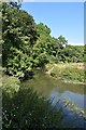 The River Mole in Painshill Park in KT11 1EH
