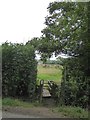 Footbridge near Fenacre Farm in EX16 7HE