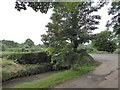 Stream and footpath west of Fenacre Bridge in EX16 7HE