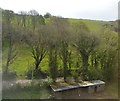 Below Coombe Viaduct in PL26 7LP