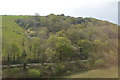 View from Coombe Viaduct in PL26 7LP