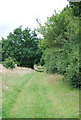 Track next to Beechy Dean Copse in SP5 1EW