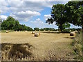 Straw bales by the Derwent in DE72 3NS