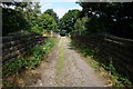 Rail bridge west of the Trans Pennine Trail in S75 4RD